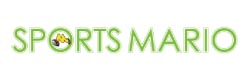 MARIO_logo